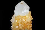Sunshine Cactus Quartz Crystal - South Africa #80200-2